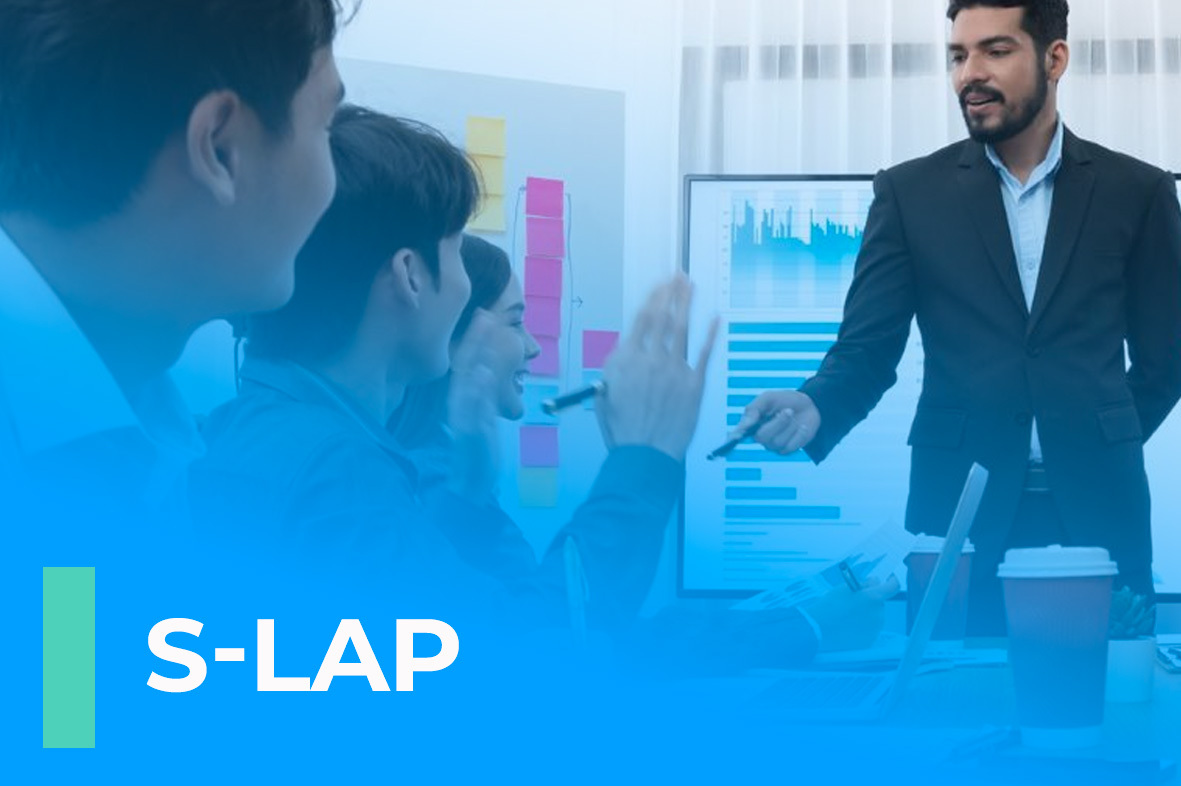 Strategic Level Assessment Program (S-LAP)